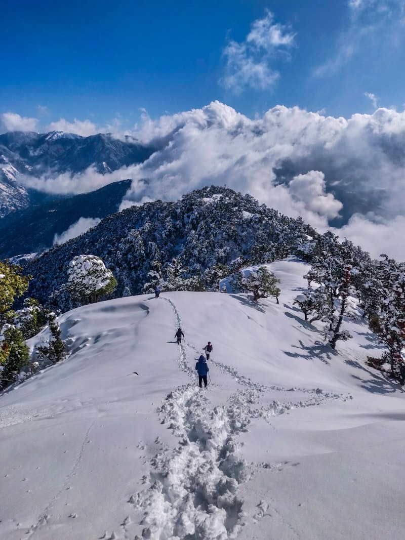 Shimla from Delhi NCR